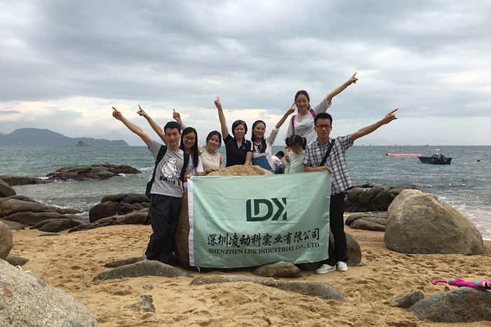 China Shenzhen LDK Industrial Co., Ltd. company profile