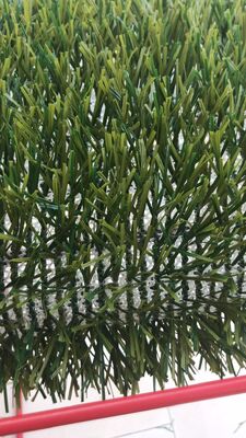 Stadium Football Field Woven Turf With Natural Grass And Durability