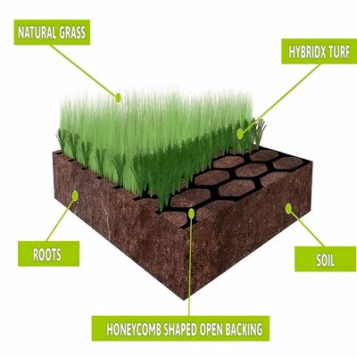 LDK Hybrid Turf Perfect Combination of Natural and Synthetic Grass for Turf Needs