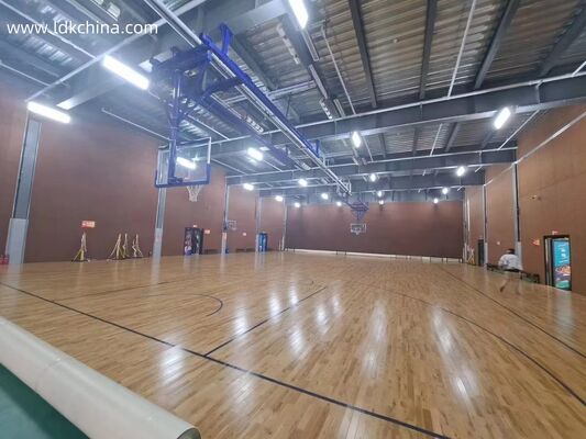 Ultra-Space Saver Roof-Mount Basketball Hoop Fold-Down & Electric
