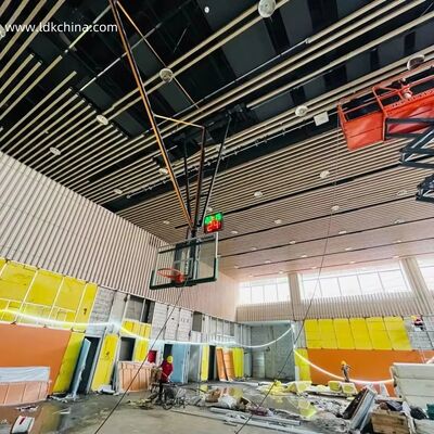 Ultra-Space Saver Roof-Mount Basketball Hoop Fold-Down & Electric
